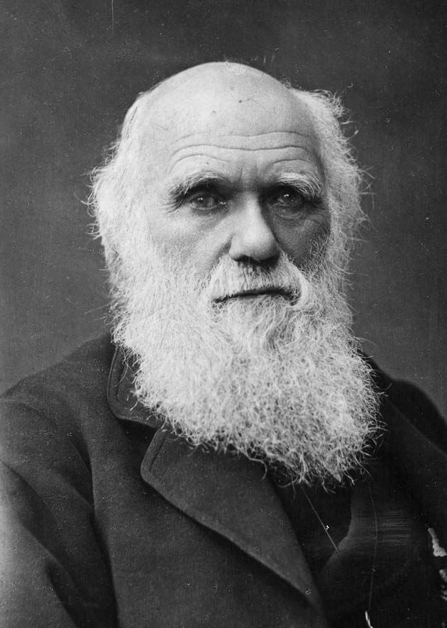 Portret Karola Darwina