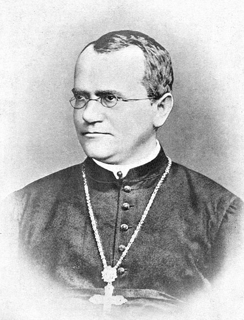 Portret Grzegorza Mendla