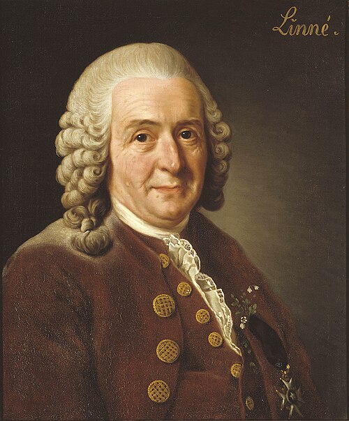 Portret Karola Linneusza