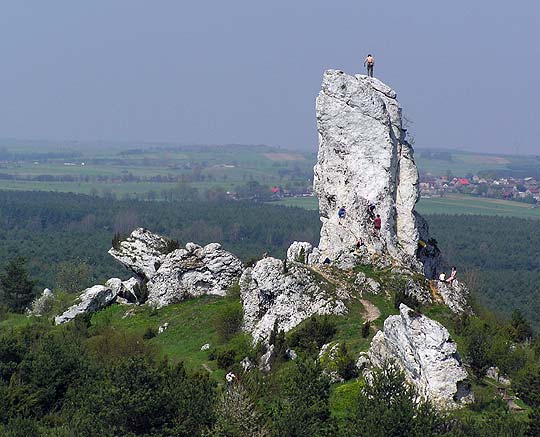 Wapienne ostańce na Wyżynie Krakowsko-Częstochowskiej