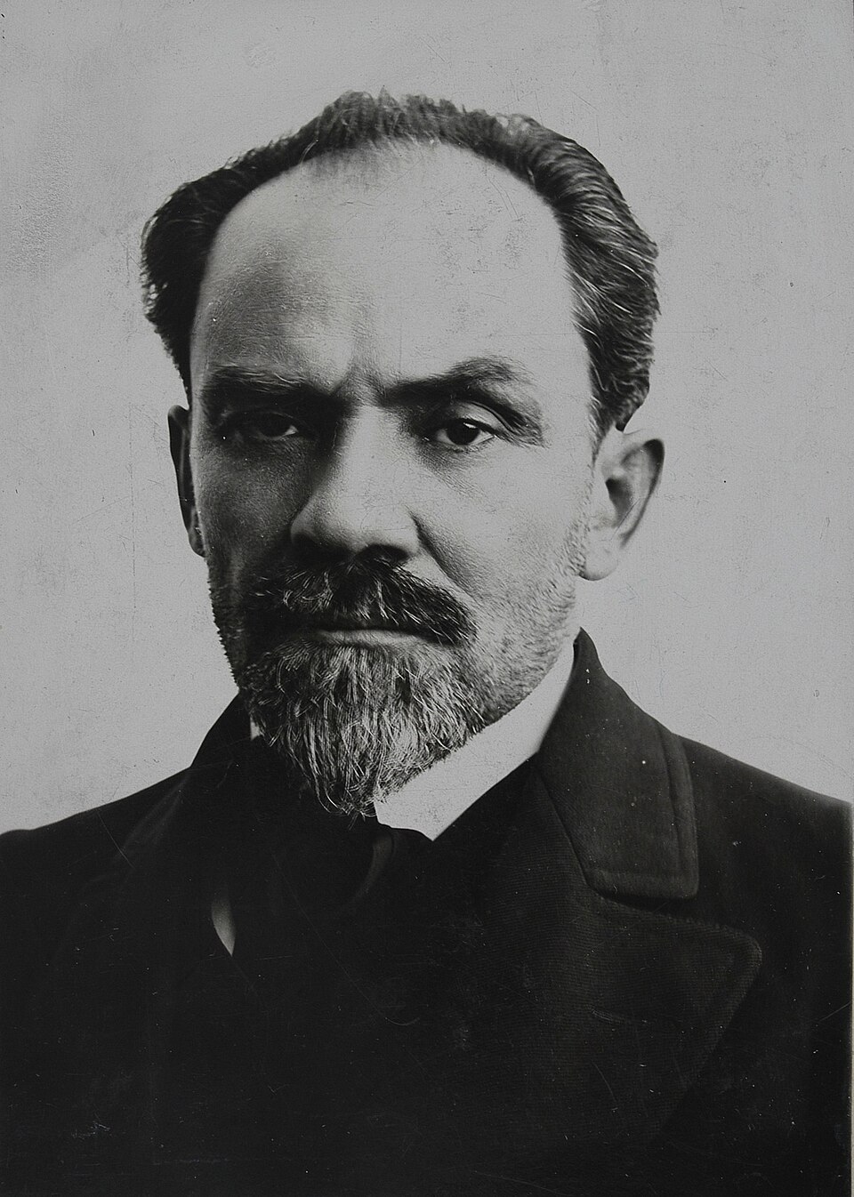 Portret pisarza